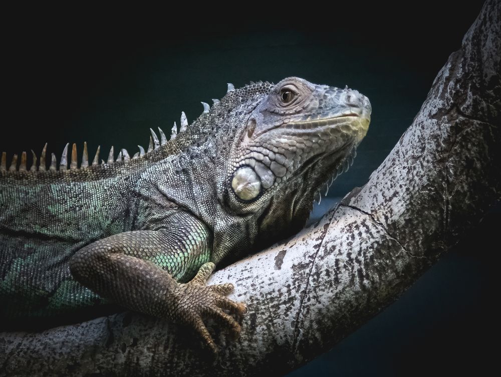 Photograph by Галина Полищук