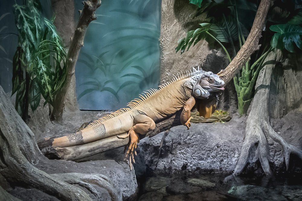 Photograph by Галина Полищук