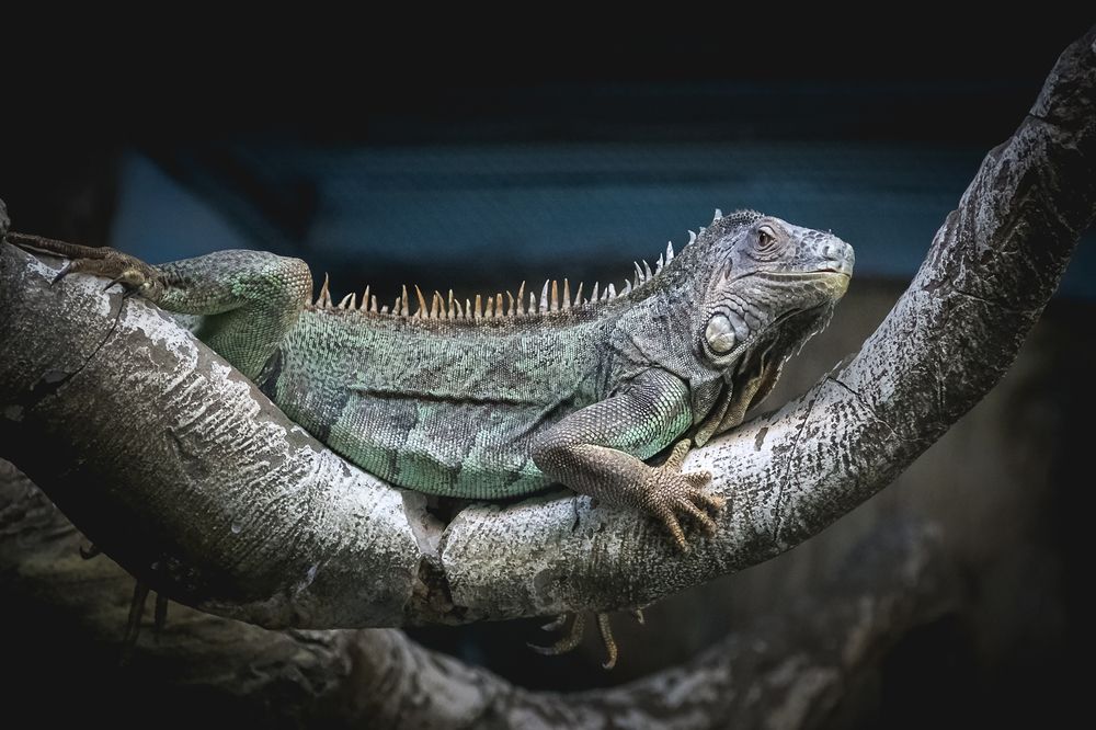 Photograph by Галина Полищук