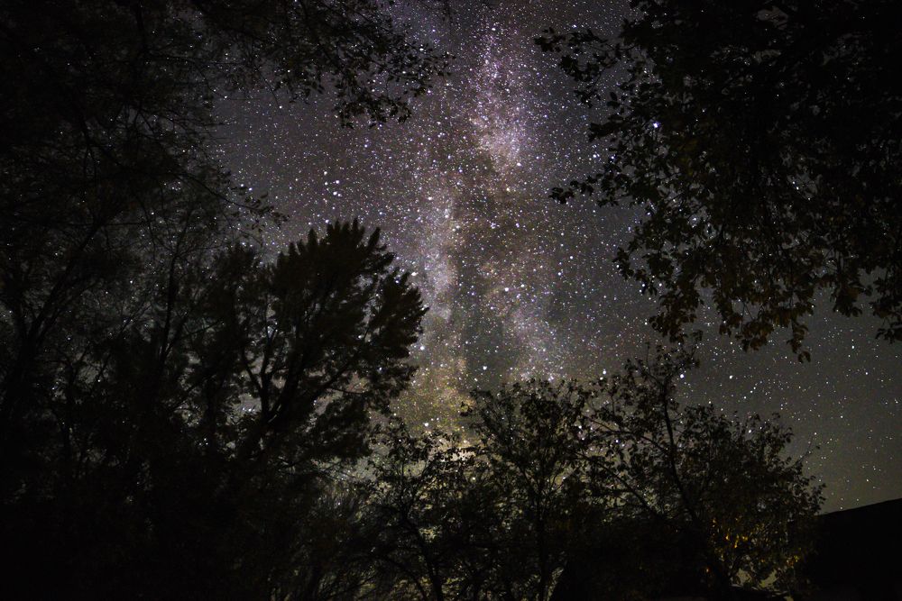 Photograph by Natalia Strelnik