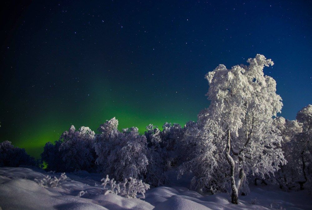 Сказочная ночь