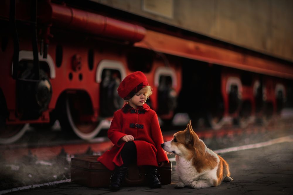 Дорога домой с лучшим другом