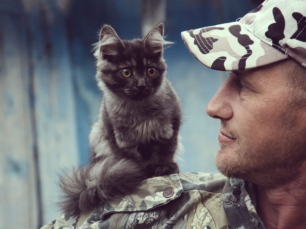 Котенок по кличке Орлик