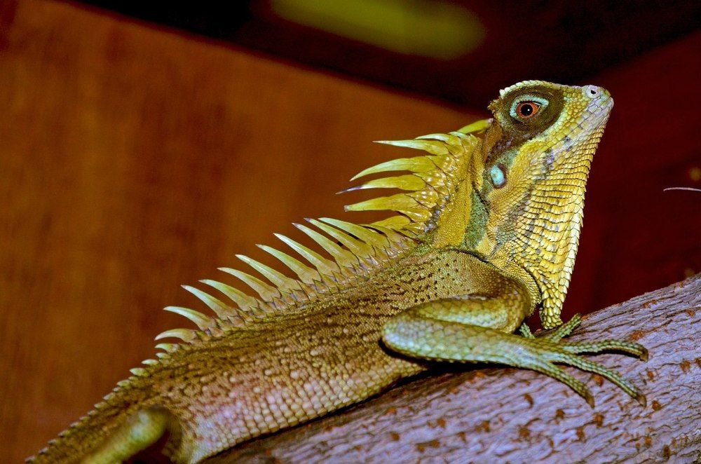 Photograph by Andrey Chuntomov