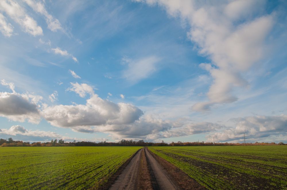 Дорога за горизонт / Road beyond the horizon