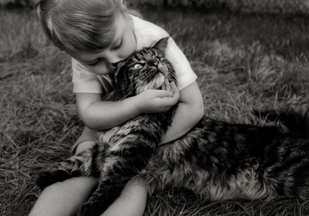 Но в душе-я тигр...