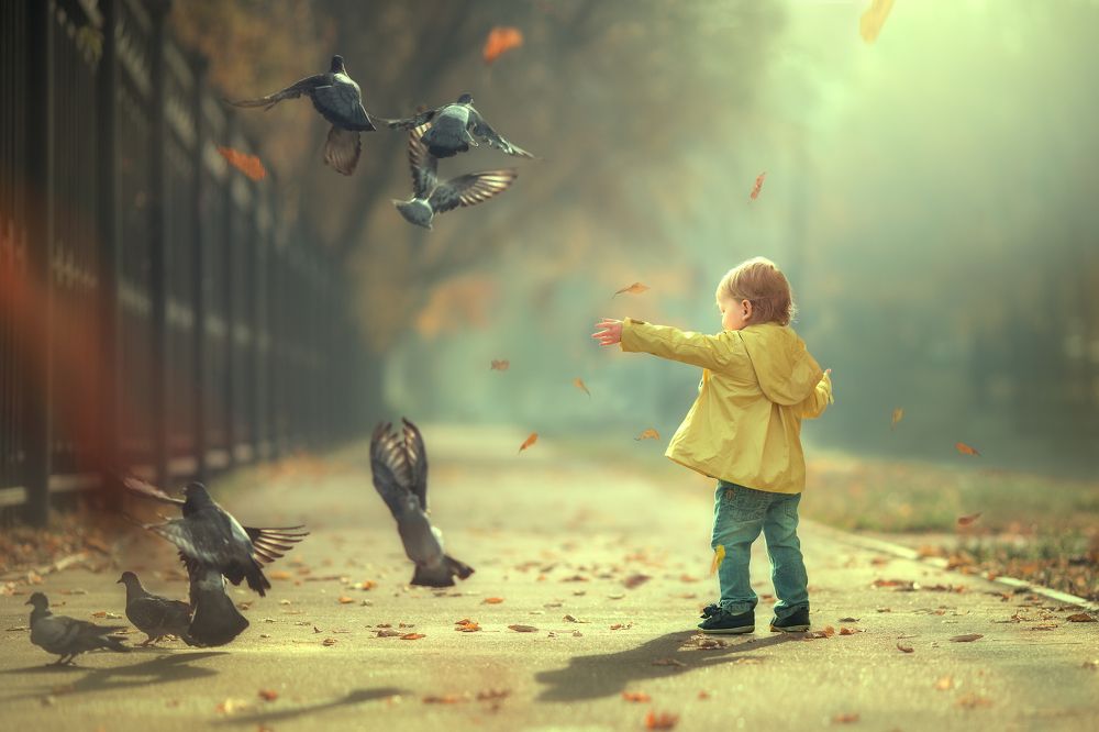 Как мы по утру голубей листьями кормили.