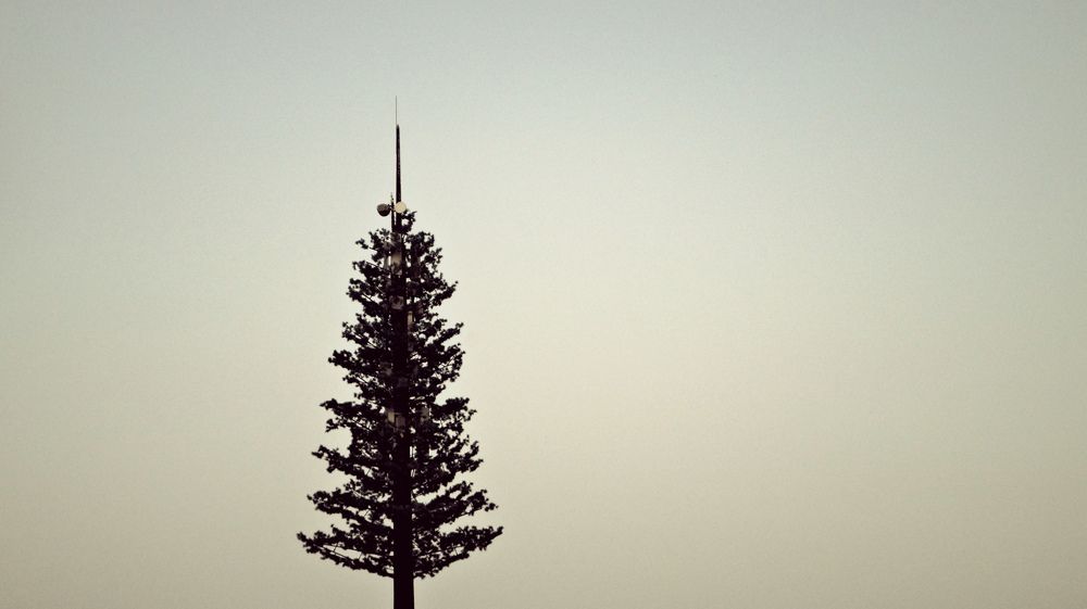 Скрытое одиночество