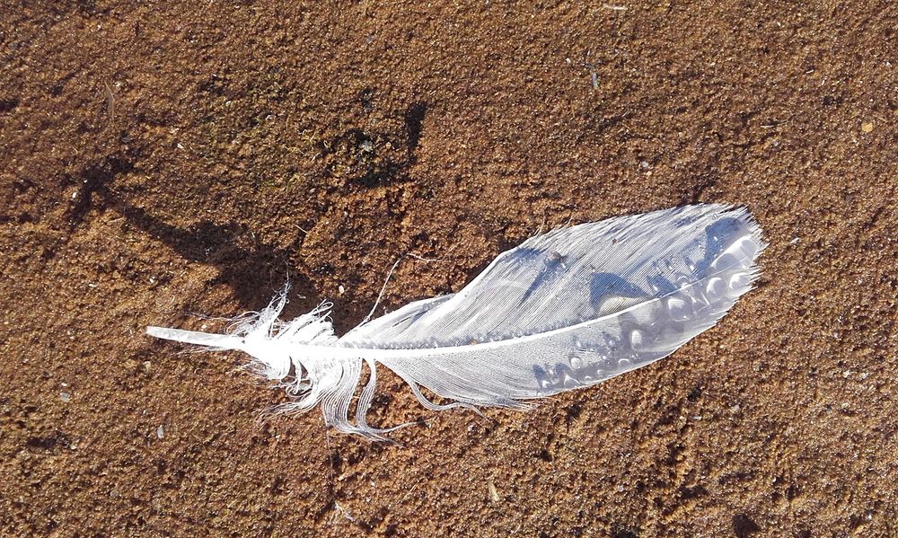 Здесь Ангел проходил.