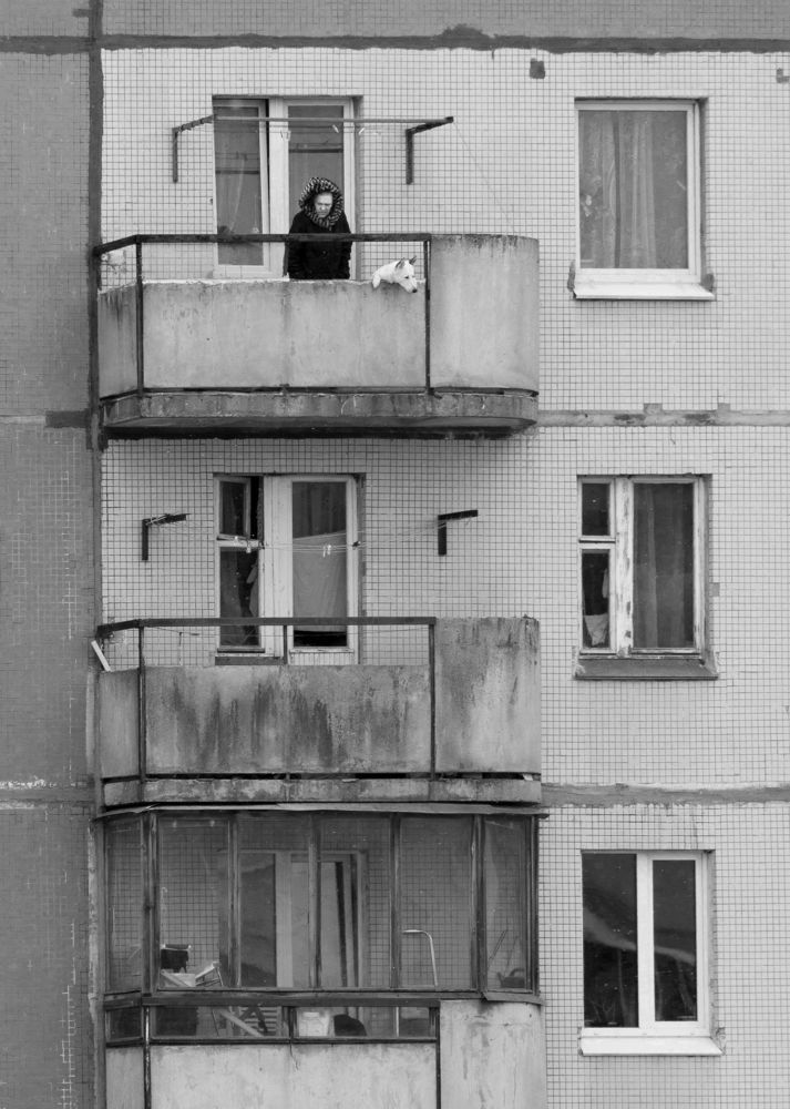 Выгулять дружка.