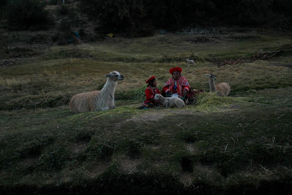 Peruvian Culture