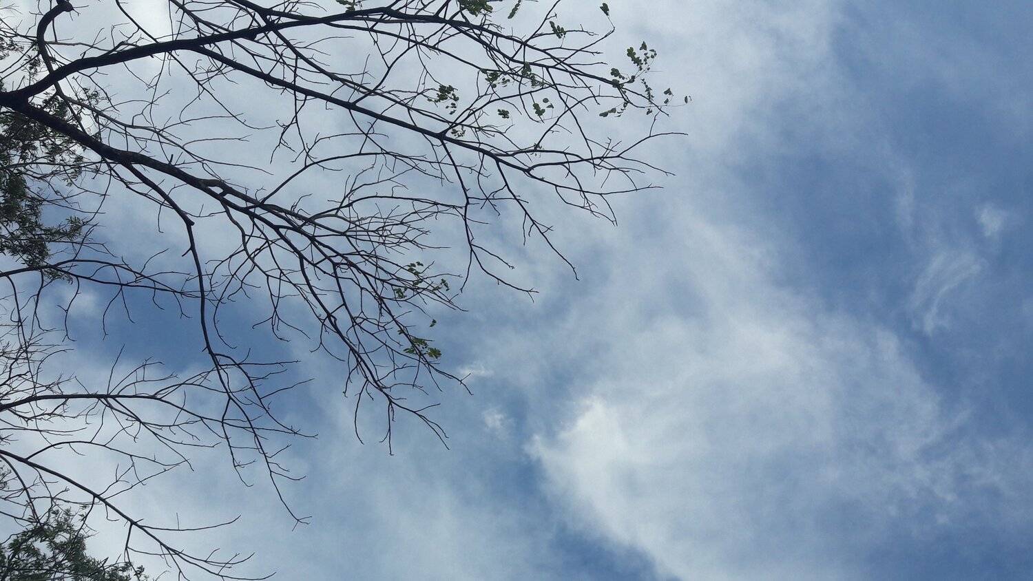 sky