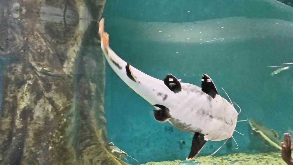 Photograph by Ирина Корнева