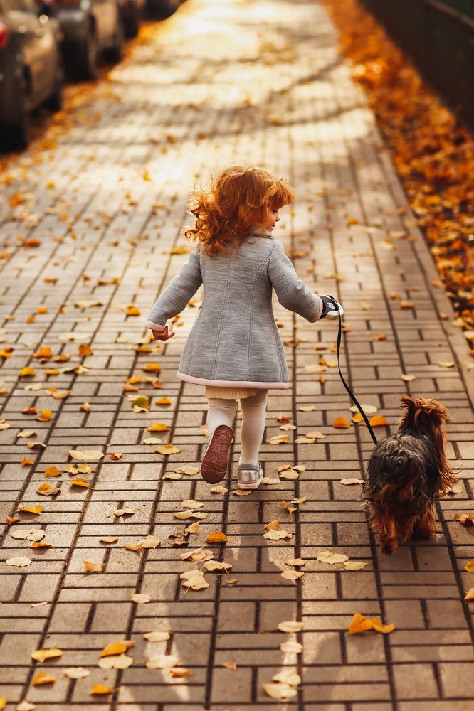 Photograph by Денис Персенен