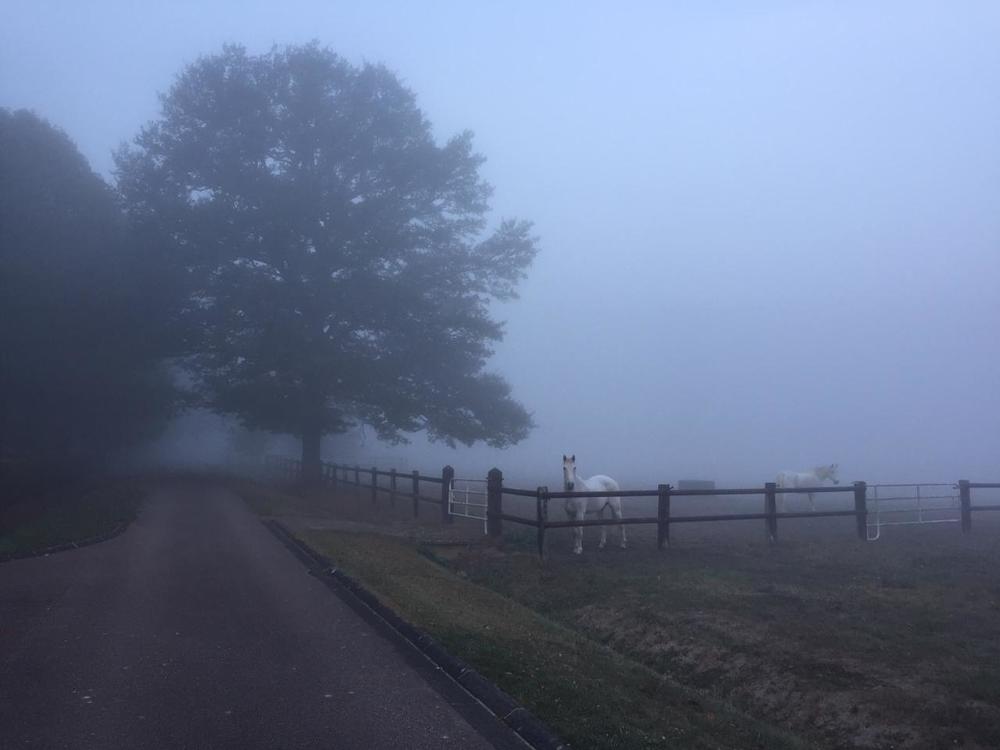 Photograph by Демьян Лопатов