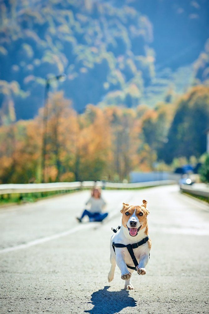 Тот самый, неугомонный )