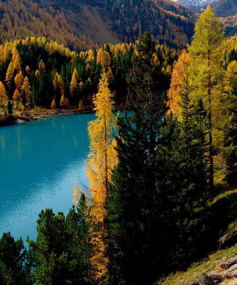 Autumn in Val Martello