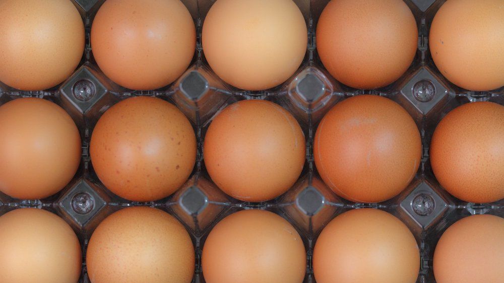 My Prespective of Eggs