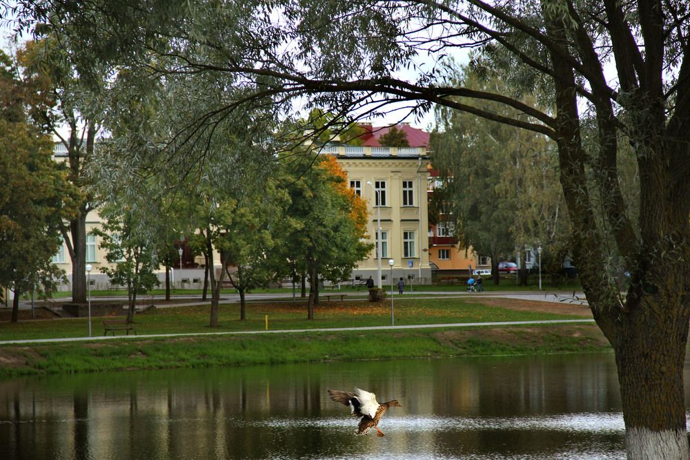 Удачный кадр!