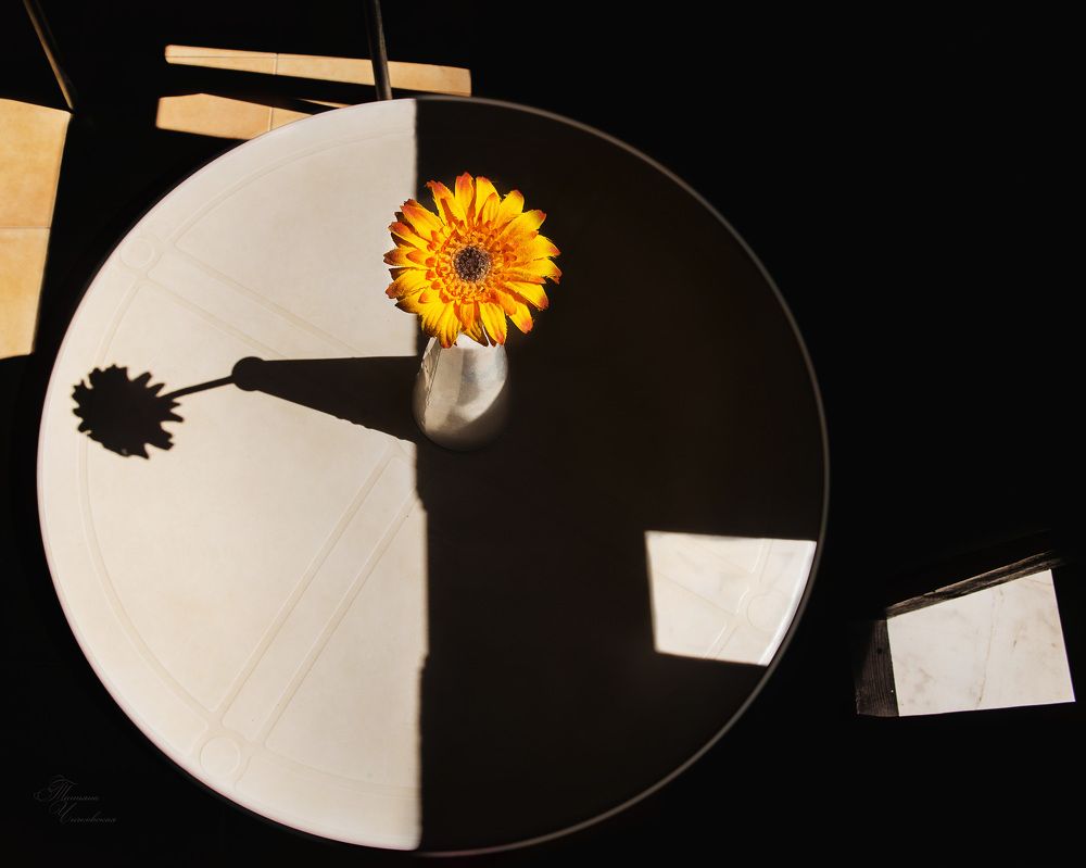 Инь и Янь моего лета