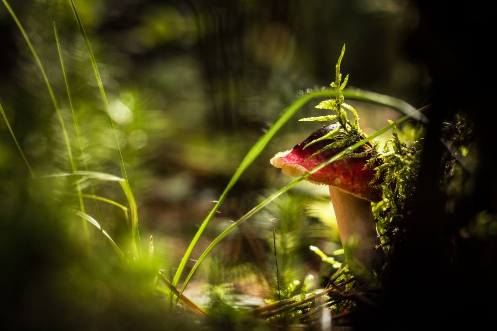 Таинственный мир под ногами