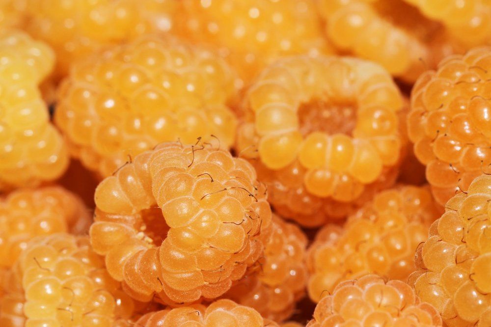 Летний десерт