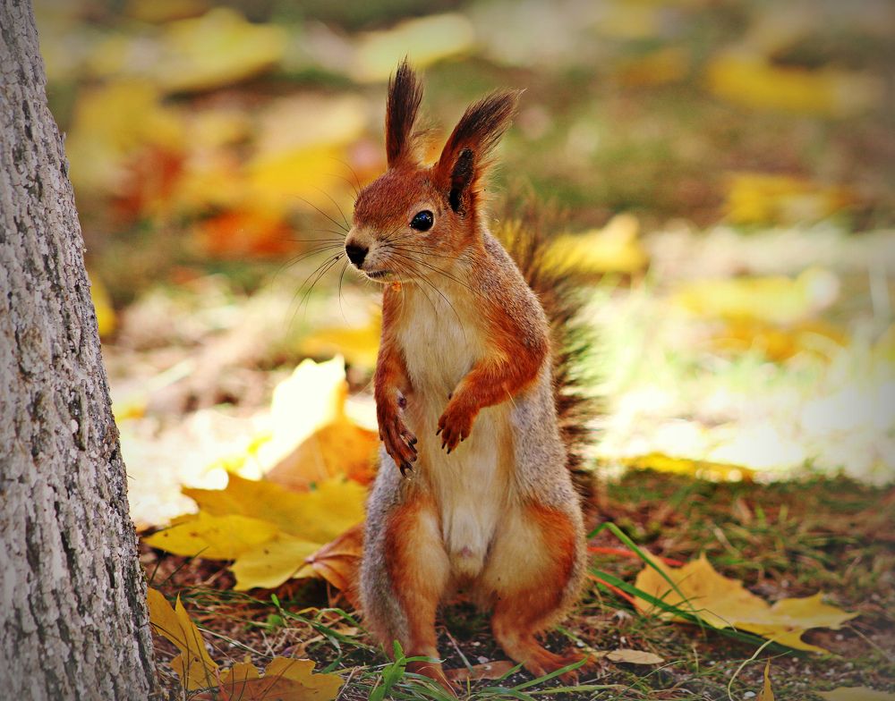 --Иду по своим делам!