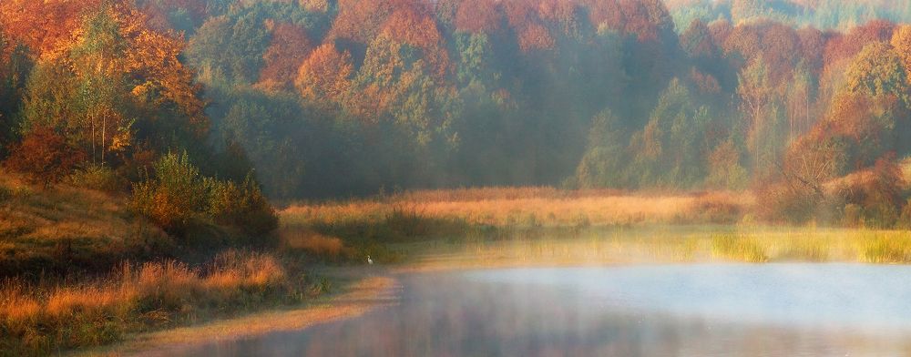 Утренняя идиллия