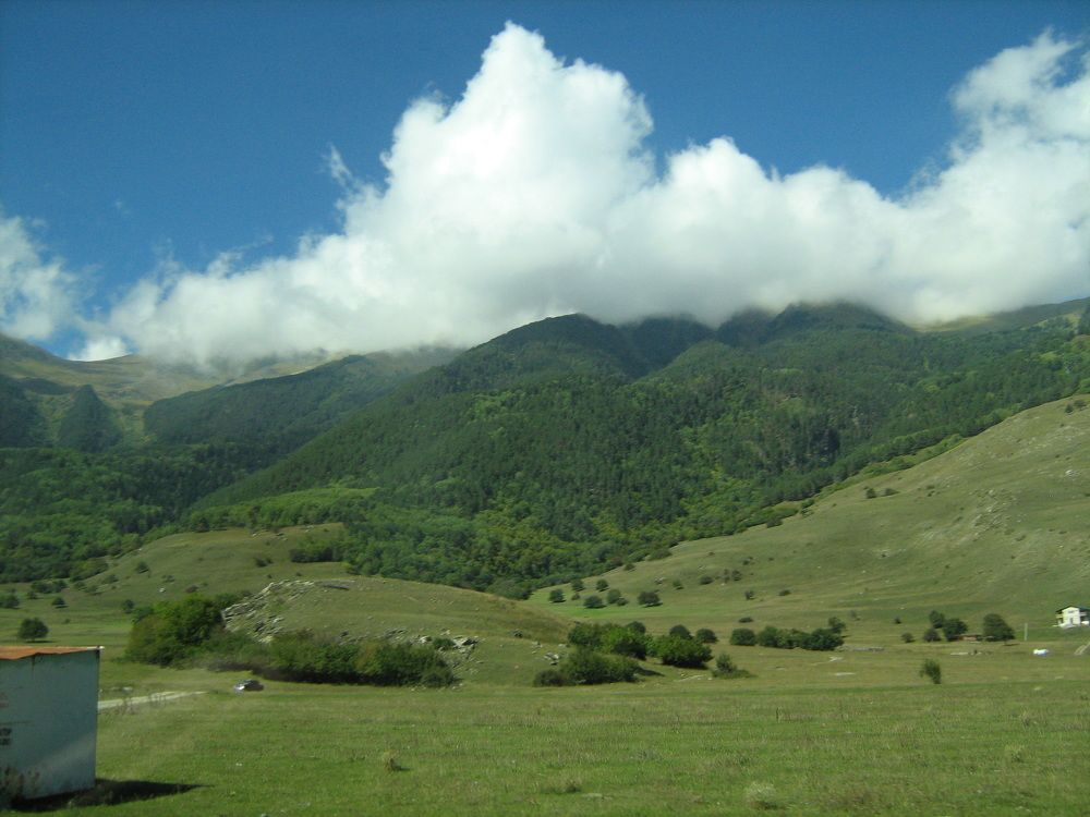 Photo #2630611