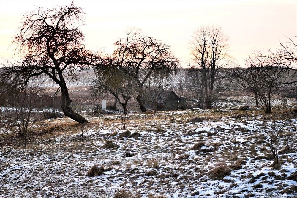 Зимний сад на закате