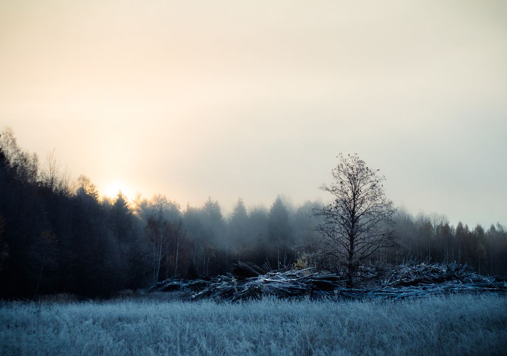 На восходе,осеннее утро.