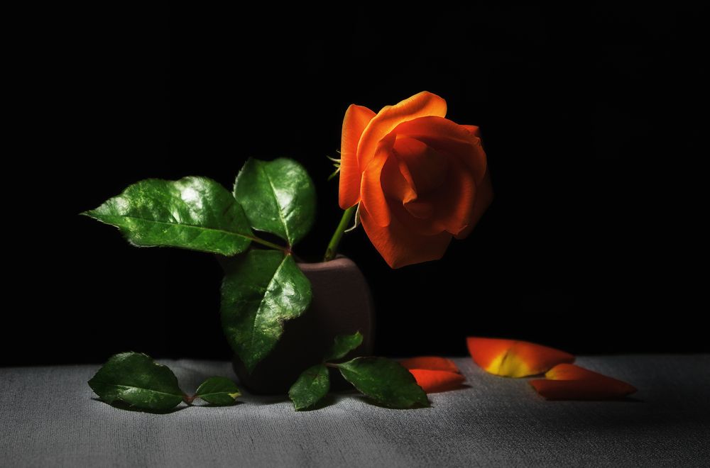 Миниатюрный натюрморт.