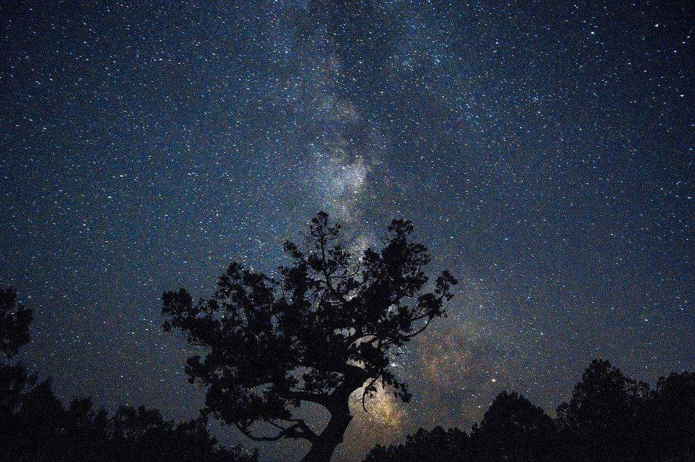 Photograph by Бадаев Антон