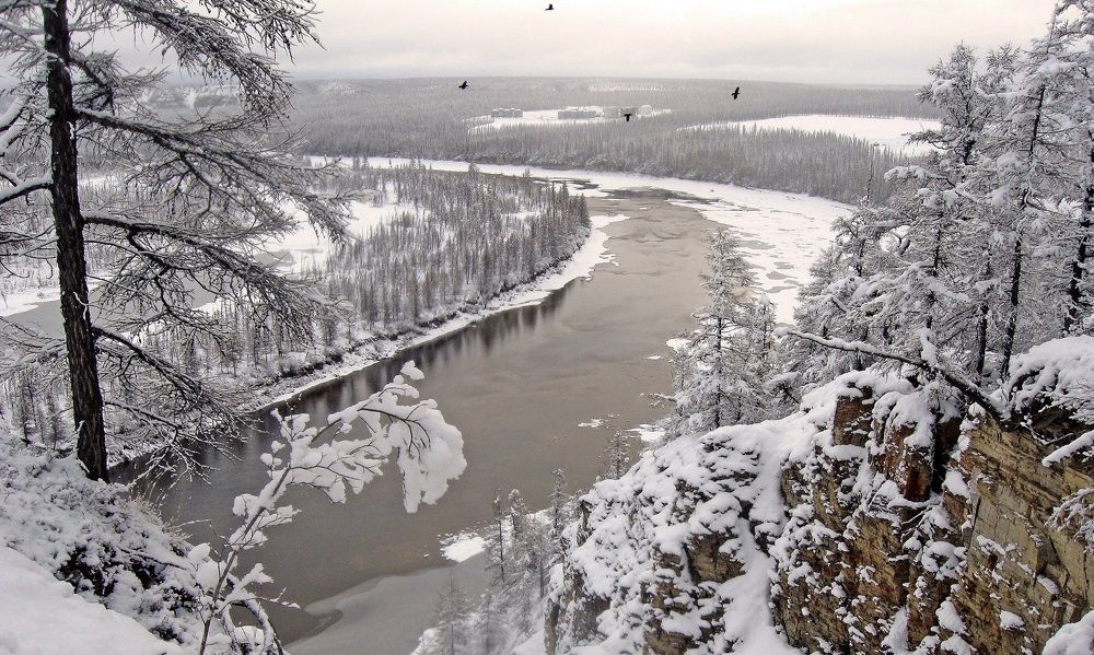 Первый снег