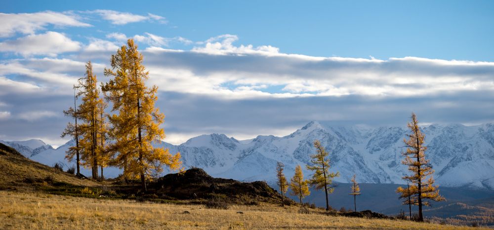 Путешествие по Алтаю