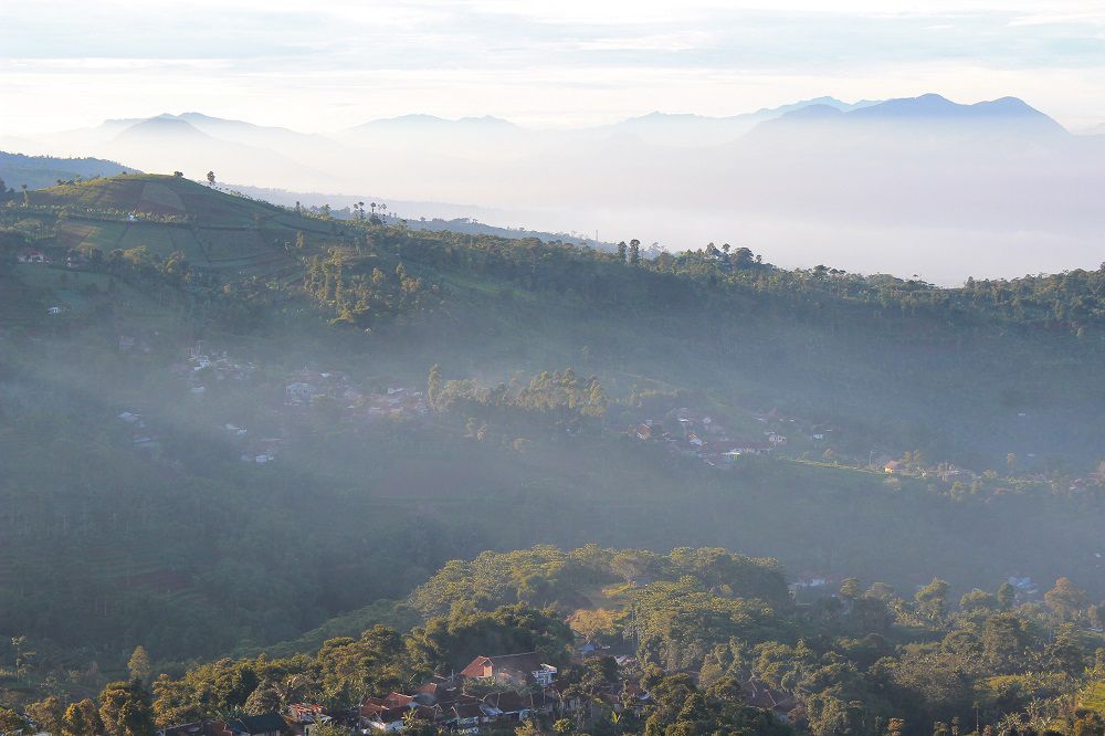 Panorama Hills Moko