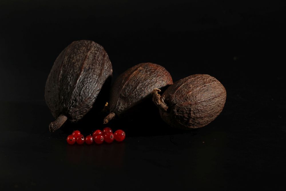 cocoa beans