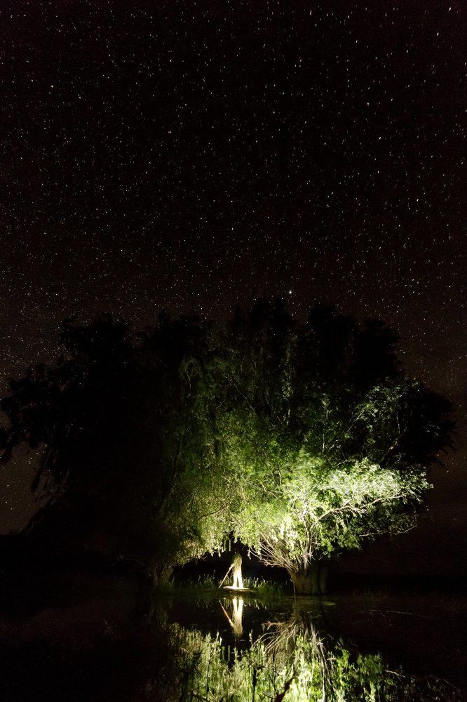 Photograph by Алексей Кашин