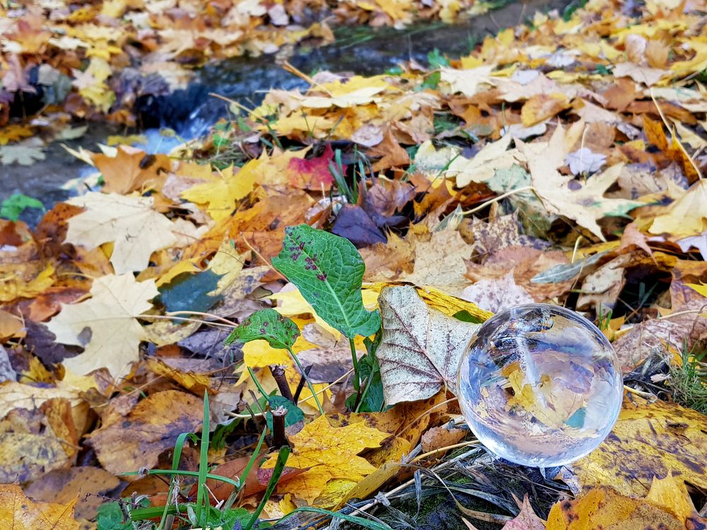 Осенний шар