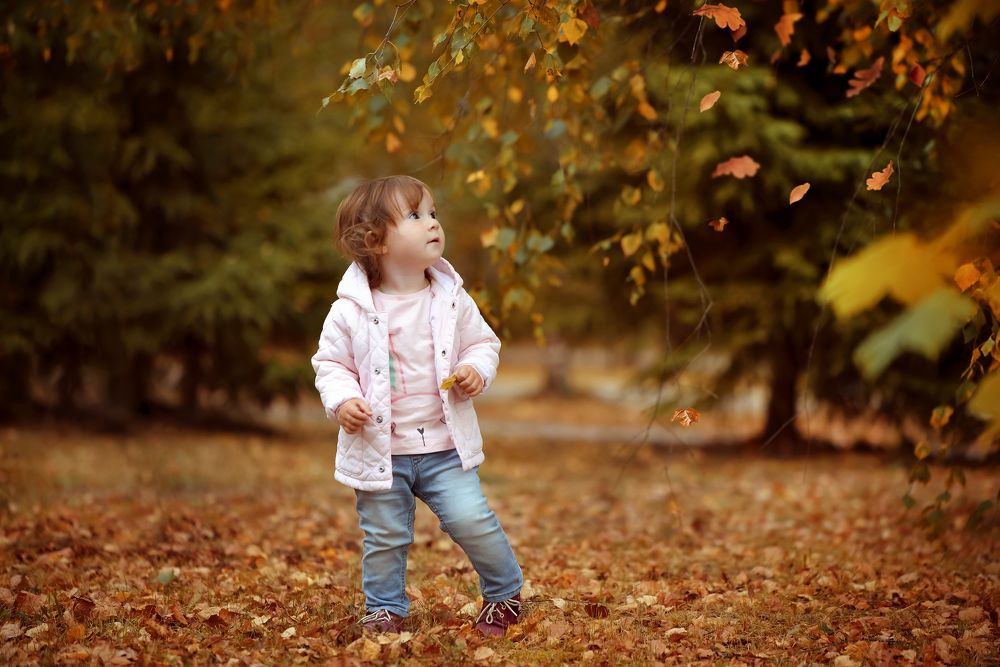 волшебная осень