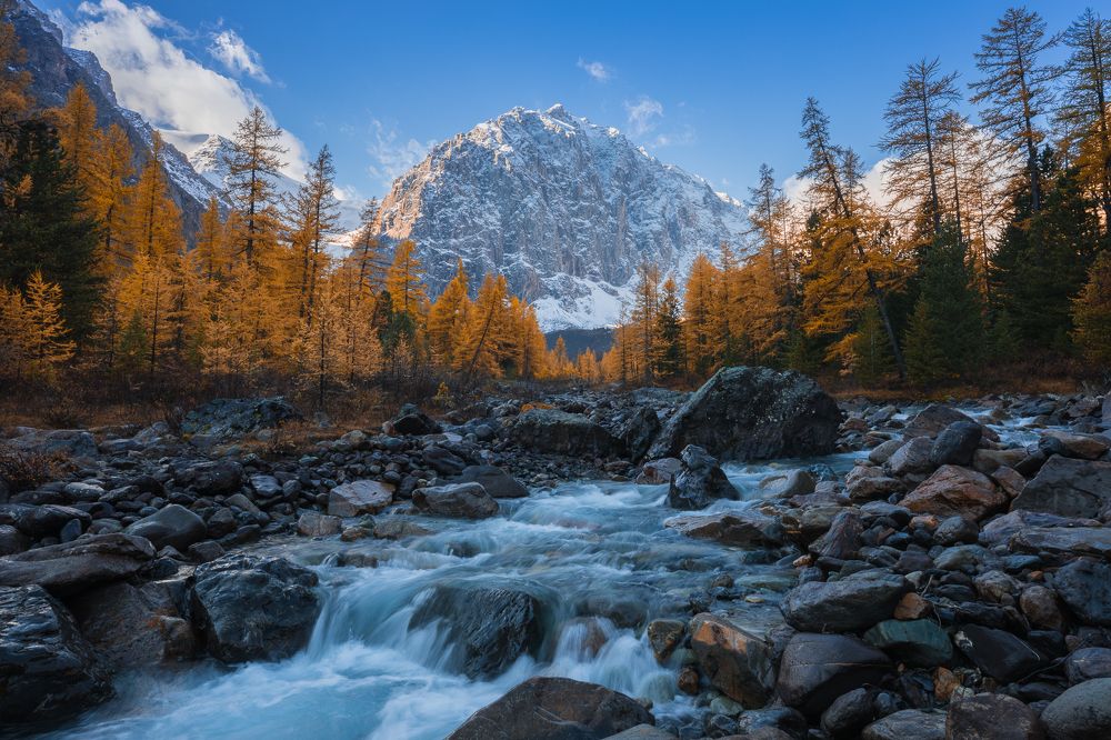 Золотой Актру