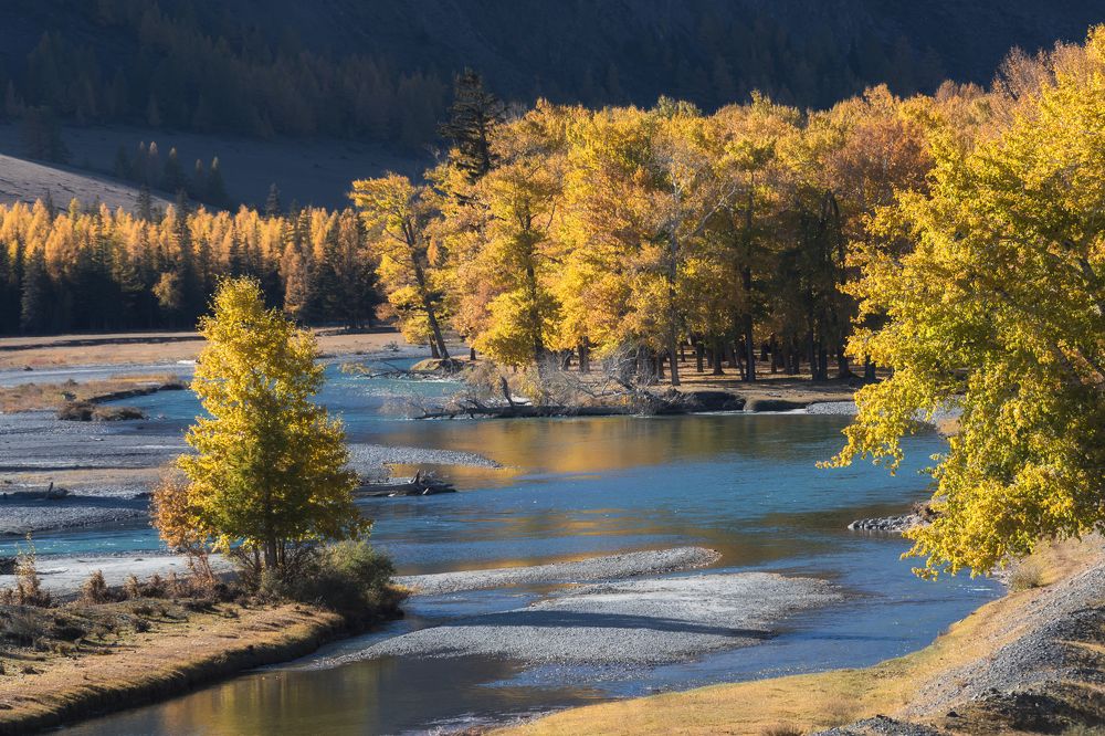Золотой Алтай