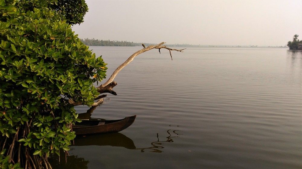 Solitude
