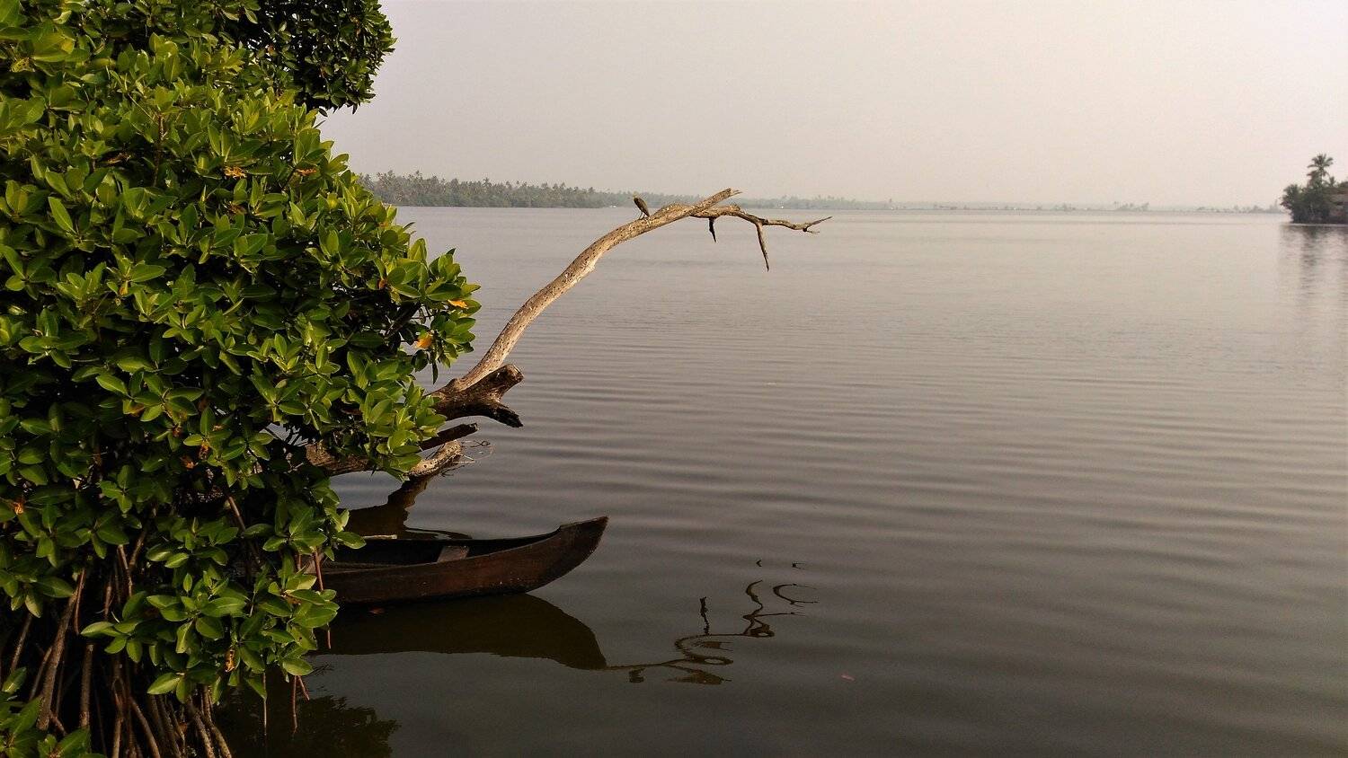 Solitude