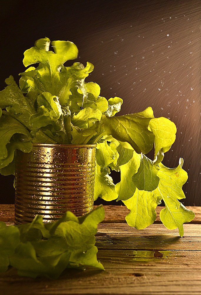 зелёный салат