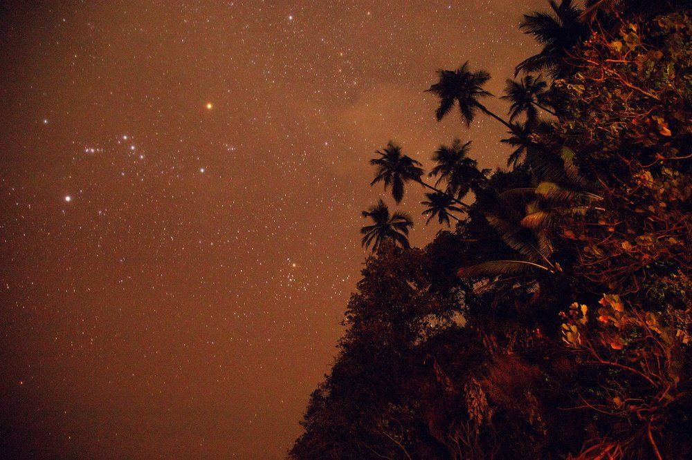 Photograph by Виталий Гуляев