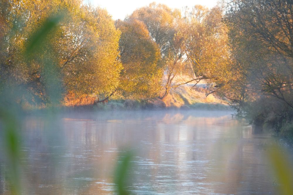 Осенняя нежность