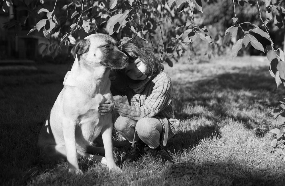 Верные друзья