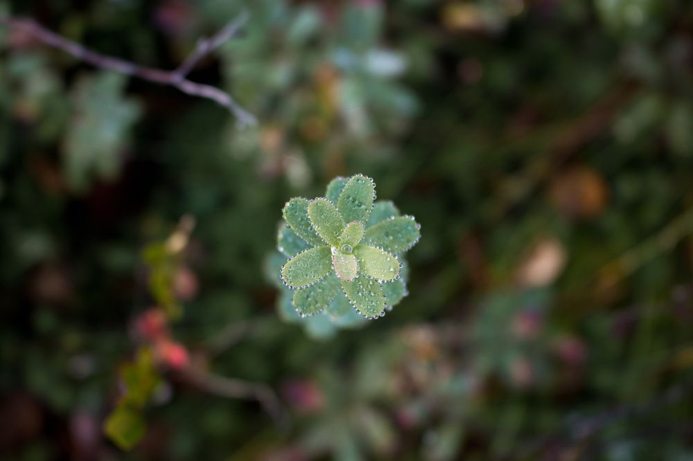 Photograph by Мария Барановская