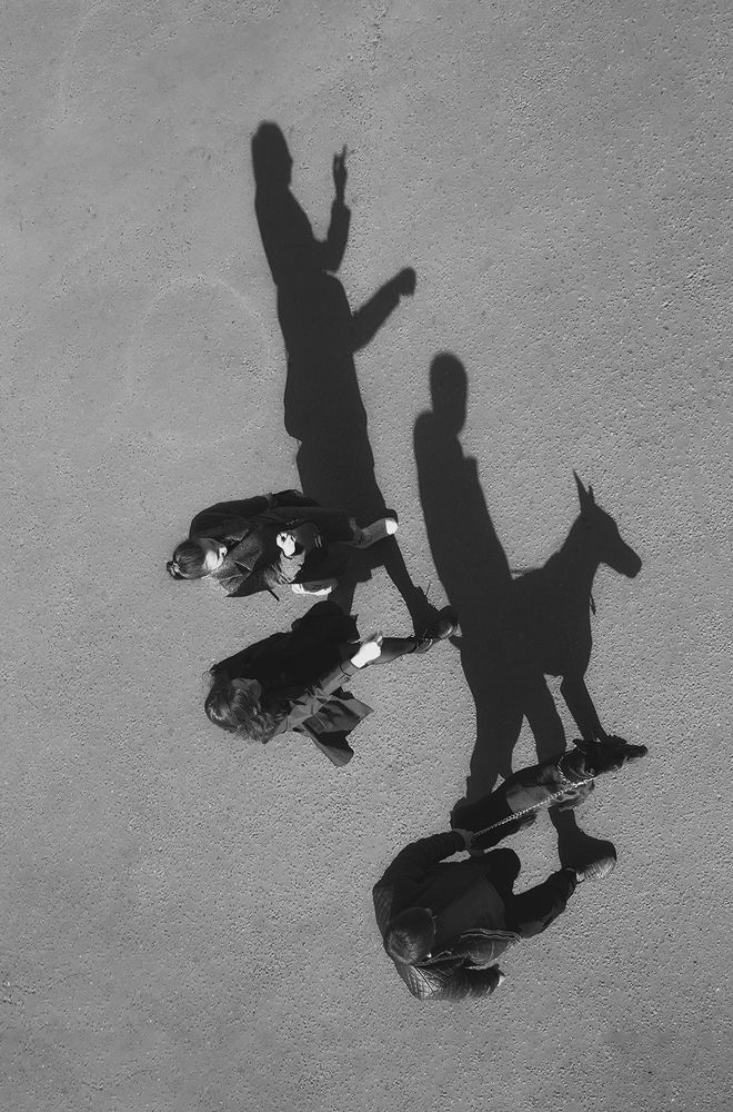 Гуляю с доберманом